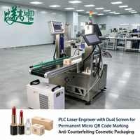 Machine de marquage laser à code QR contrôlée par PLC à double écran BMG, gravure permanente de micro-codes QR, anti-contrefaçon pour les cosmétiques