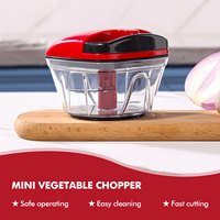 Multifunctionele roestvrijstalen keukenhulp voor groenten, fruit, vlees, knoflook, noten, ui en salade.