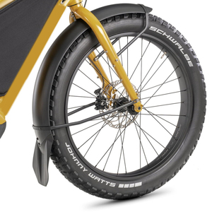 Bicicleta Eléctrica de Carga de Largo Alcance al por Mayor, 250W 48V <span class=keywords><strong>27.5</strong></span> Pulgadas, Grupo Shimano Deore XT de 12 Velocidades, Bicicleta Eléctrica de Carga para Adultos - Product Image 3