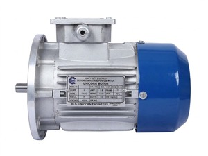 Motor de inducción trifásico de 0.5 hp, 2880 rpm, 2 polos, compacto y de alta velocidad, montado en brida, para bombas industriales y maquinaria. - Product Image 2