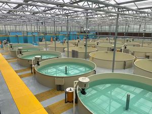 AOGU ZHSR-50 1hp Mini 3 lobi radici soffiatore OEM alta pressione elettrica AC ghisa <span class=keywords><strong>di</strong></span> alta qualità <span class=keywords><strong>di</strong></span> magazzino <span class=keywords><strong>di</strong></span> fabbrica - Product Image 4