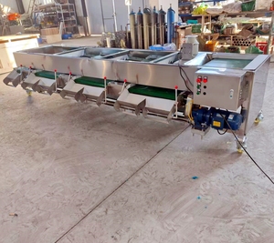 Máquina Clasificadora de Frutas, Dátiles y Cacahuetes por Tamaño, 3 y 4 Grados, Máquina Clasificadora de Arándanos - Product Image 5