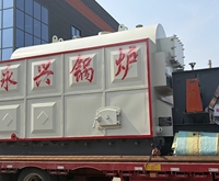 Chaudière de traitement des aliments à grande capacité avec élimination automatique des cendres, pratique et efficace