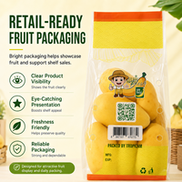 Transparante voedselveilige verpakkingen van plastic voor verse producten, op maat gemaakte logo's, CPP platte fruitzakken met ventilatiegaten
