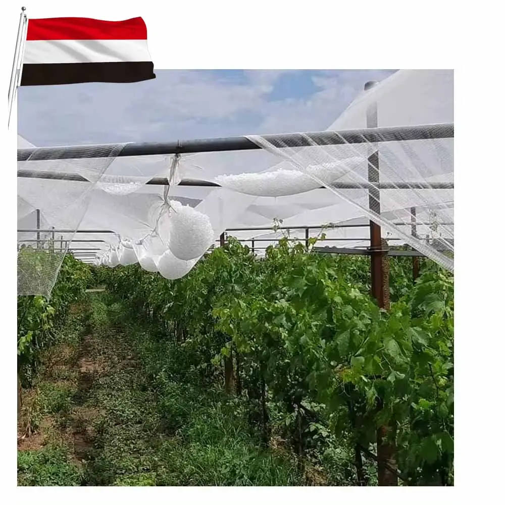 Filets anti-grêle en plastique agricole viticole yémen de différentes tailles et de haute qualité pour pommiers agricoles en stock