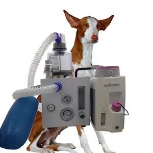 Medical X-ray Equipments & Accessories Sophisticated Veterinary Hospital Equipment