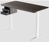 Bureau de jeu PC convertible extensible en bois avec moteurs électriques réglables (panneau optionnel) - Design moderne pour bureau à domicile, fixation murale