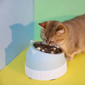 Schlussverkauf hochwertiger Edelstahl-Fußschutz Katzenschale für Halswirbel Anti-Überrollung Haustierprodukte Katzenfutterschale