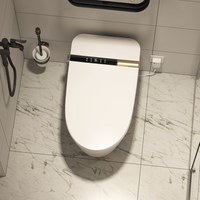 WC intelligent, toilettes intelligentes, télécommande, système S-Trap avancé, équipement sanitaire automatique pour salle de bain, bidet, toilettes intelligentes
