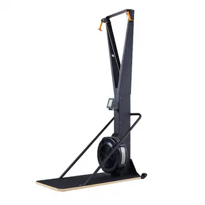 SP fabrika doğrudan yeni tasarım Rower egzersiz ekipmanları kayak makinesi kardiyo hava kürek makinesi