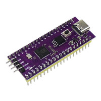 Papan Pengembangan Raspberry Pi Ultimate RP2040 Antarmuka USB/Type-C Konverter DC/DC Non-Isolasi Kompatibel dengan Raspberry Pi Pico