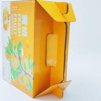 Ecologisch verantwoorde papieren doos van golfkarton, recyclebaar, biologisch afbreekbaar, met handvat voor vers fruit, groenten, mango, sinaasappel verpakking