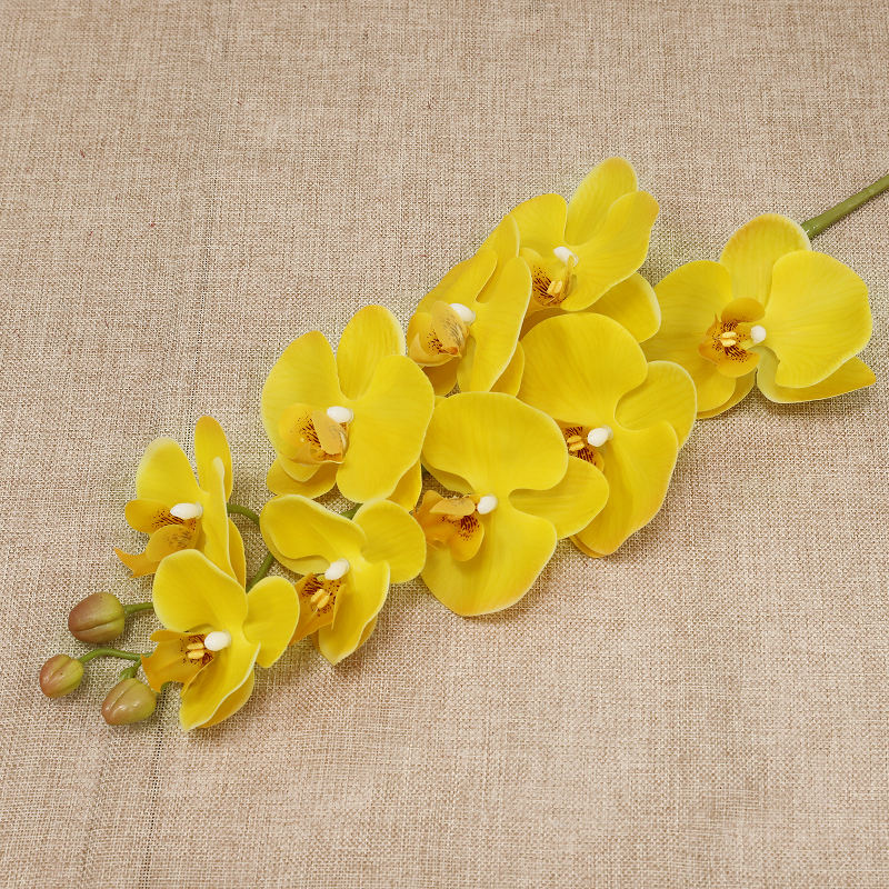 สีเหลือง