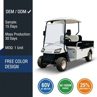 Voiturette de golf électrique 2 places avec coffre de chargement, batterie au lithium, 30-50 km/h, 3KW, certifiée CE, pour parcours de golf, hôtel, usine, entrepôt, campus, 60V