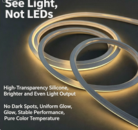 Bande LED néon en silicone 1010, lumière linéaire flexible, tube LED étanche, éclairage décoratif, extérieur, intérieur, longueur personnalisée, OEM
