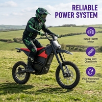 Moto tout-terrain haute vitesse SHANSU Q2, batterie 48V 20.8Ah, moto électrique tout-terrain, amortisseur hydraulique