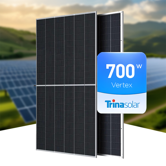 Trina Double Glass N-Type Bifacial PV Module with High Output 695w 700w 710w 720w Solar Panels for Residential Solar Systems