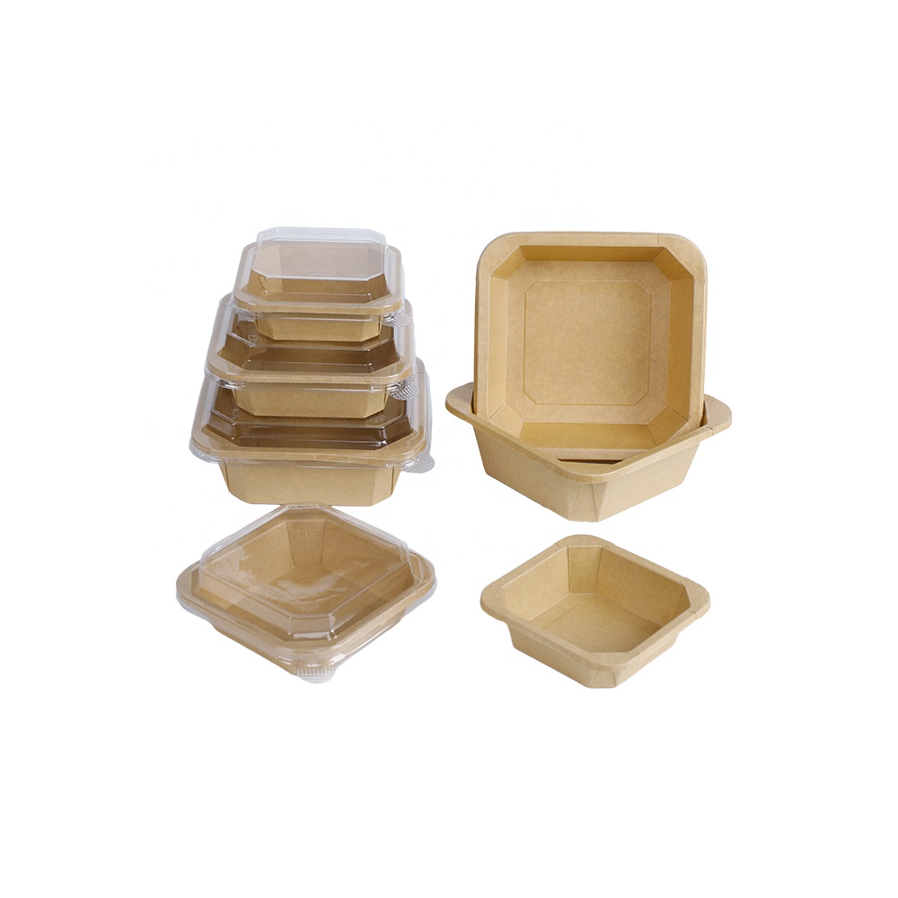 Disposable BBQ Camping Cake Square Octagonal Tray Waterproof Coated Kraft Paper Plates Bowls with Lids