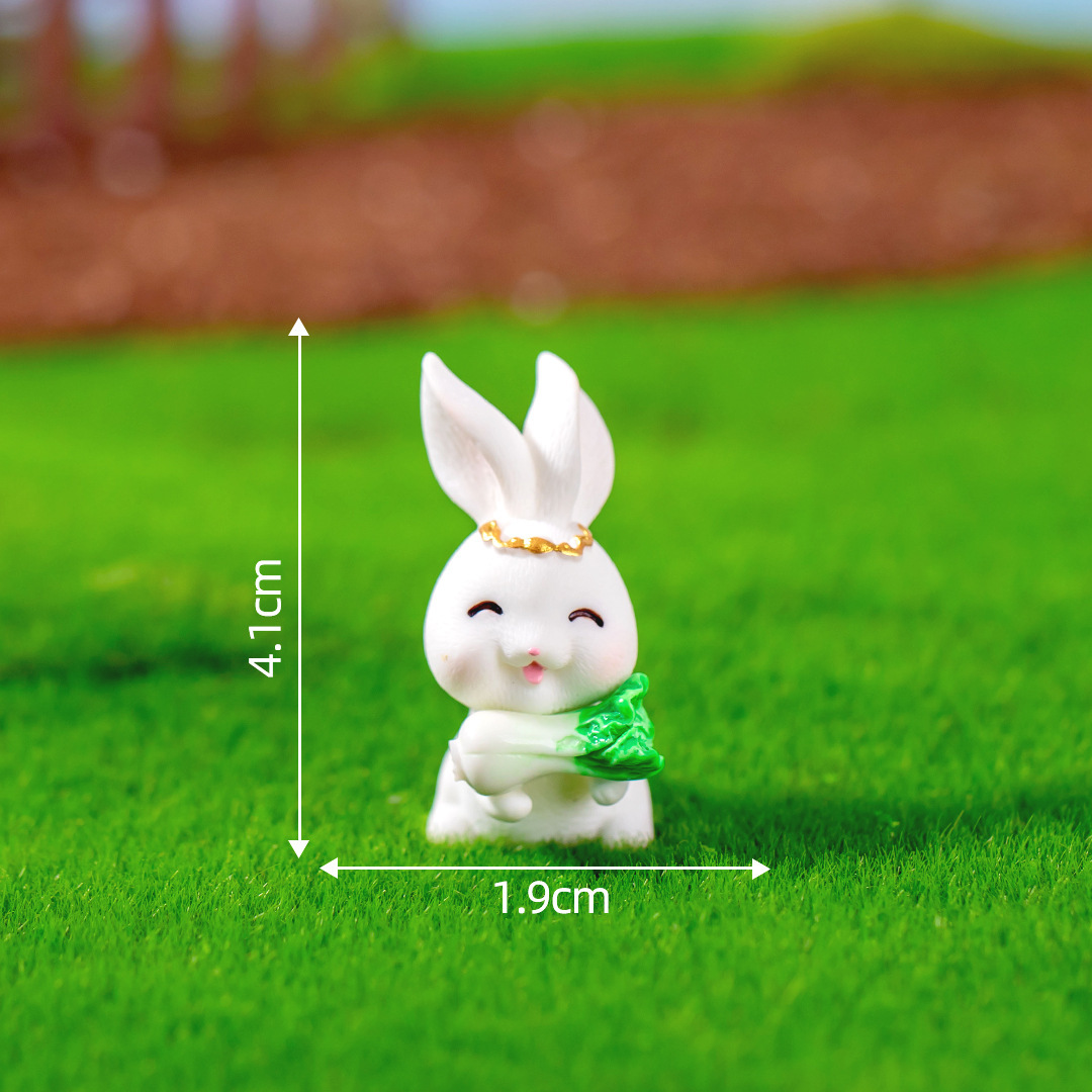 No. 4 is holding a cabbage rabbit in his hands