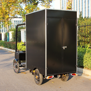 Tricycle électrique à 3 roues robuste avec caisse de livraison fermée pour la logistique du dernier kilomètre, la livraison par coursier et l'utilisation urbaine - Product Image 5
