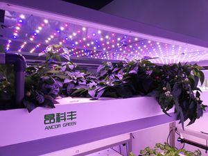 Ferme de conteneur d'expédition de mer de 20 pieds 40hq, conteneur de ferme par le système complet de conteneur de fourrage hydroponique de fournisseur de la Chine - Product Image 6