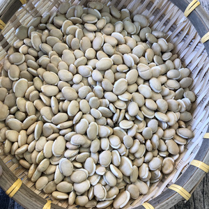 Suministro Directo de Fábrica al por Mayor de Frijoles Blancos Naturales Crudos, Legumbres Secas, Ingredientes para Catering, Conservados con Sal, Proceso de Secado AD - Product Image 3