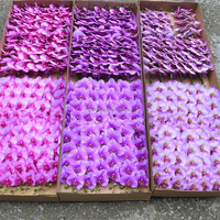 Fleurs d'orchidées Phalaenopsis artificielles de qualité supérieure, toucher réel en latex, papillon avec tige pour la décoration de mariage et de la maison