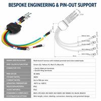 Rangkaian Kabel Harness Otomotif Kustom, Terminal Cincin, Adaptor, Konektor untuk Komputer/Motor, Isolasi PBT, OEM/ODM