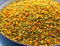Pollen d'abeille mélangé en gros de qualité alimentaire BEESTAR, extraits naturels purs et frais, grandes granules