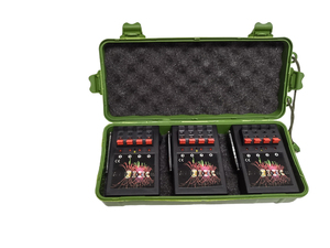 Máquina de fuego pirotécnica 12 señales 12 canales control remoto sistema de disparo de fuegos artificiales para la celebración de eventos - Product Image 2
