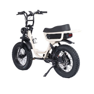 Vélo électrique 750w Fat E Bike 20 pouces avec pneus larges, vélo électrique pas cher Fatboys Cruzr Flightriskk pour la livraison de nourriture - Product Image 3