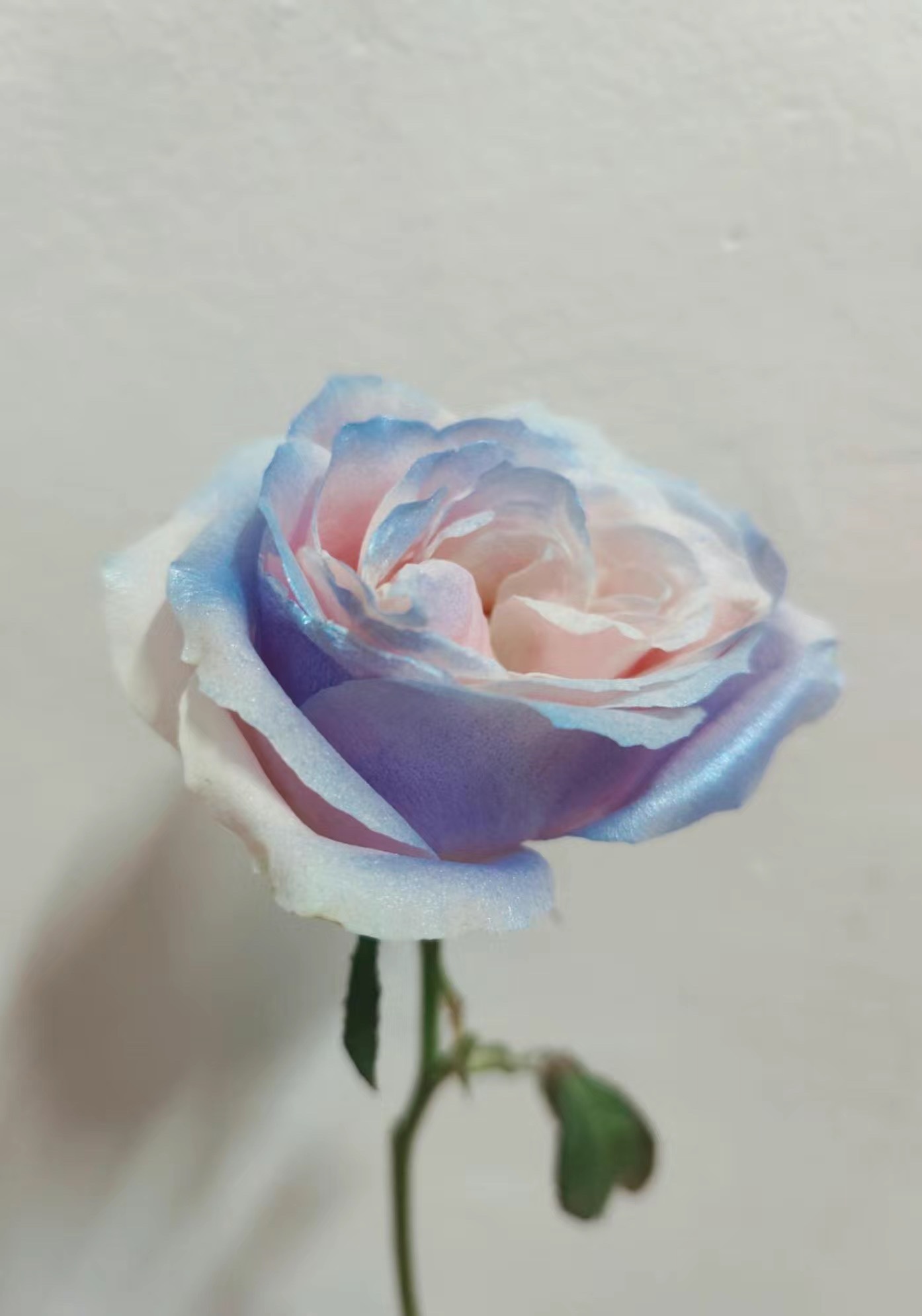 Blu ghiaccio perlescente