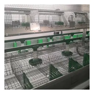 Gaiolas de fornecimento de fábrica na China para coelhos, gaiola conveniente para limpeza de esterco, estilo europeu