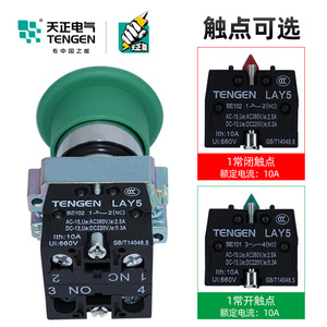 Tengen Mushroom Head <b>Push</b> <b>Button</b> <b>Switch</b> LAY5-BC31 Green 22-Hole Self-Reset IP40 - Product Image 2