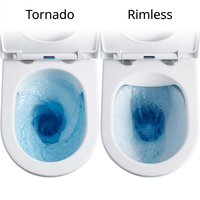 Vente en gros usine : WC en céramique deux pièces à chasse d'eau Tornado, blanc, pour appartement et salle de bain domestique