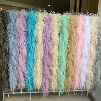 Bandes de plumes d'autruche naturelles, boa 5 couches épaissies, teintes, pour robes de performance, costumes de mariage, accessoires de vêtements DIY