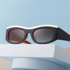 Lunettes de soleil <span class=keywords><strong>tendance</strong></span> Partagas <span class=keywords><strong>2023</strong></span>, style <span class=keywords><strong>sourcils</strong></span>, lunettes de soleil œil de chat, branches épaisses, pour femmes et hommes - Product Image 6