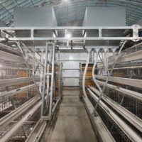Système de cages en batterie pour poulets de type A, galvanisé à chaud, 3/4 niveaux, 96-160 oiseaux, pour ferme avicole