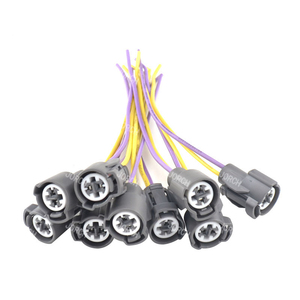 2-pins connectorbehuizing waterdichte auto-kabelboomconnector 6189-0156 DJ70230F-2.2-21 - Product Image 1
