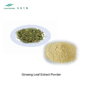 Health Food Ginseng Powder Gingseng Extract Ginseng Root Powder