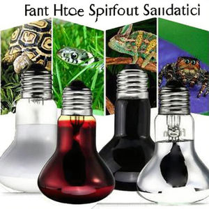 Bombillas de foco UVA de luz diurna de 25W y 100W para reptiles, lámpara de calefacción infrarroja, foco de luz para reptiles, suministros para anfibios - Product Image 2