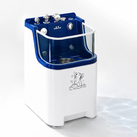 Station de toilettage pour chien Dpbathe, design luxueux pour le lavage en extérieur, drainage rapide pour une entretien facile