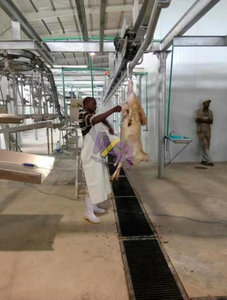 Equipo de matadero de ovejas, máquina de matanza de cordero <span class=keywords><strong>ritual</strong></span> para cabra Halal, línea de matadero llave en mano, maquinaria para ovejas - Product Image 4