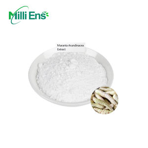공장 가격 식품 등급 100% 천연 애로우 뿌리 분말 화살 뿌리 분말 Maranta Arundinacea 추출물 - Product Image 4
