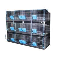 Vente chaude Pigeon élevage couche Cage nouvelle condition SSD de l'usine de la Chine