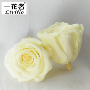ดอกกุหลาบจริงอบแห้งขนาด 5-6 ซม. ยี่ห้อ Liviflo ขายส่ง บรรจุกล่อง สำหรับตกแต่งวันวาเลนไทน์และงานแต่งงาน - Product Image 5