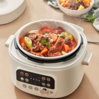 Cuisinière électrique multifonctionnelle 4L avec affichage LED, cuve intérieure antiadhésive, cuiseur à riz électrique à pression