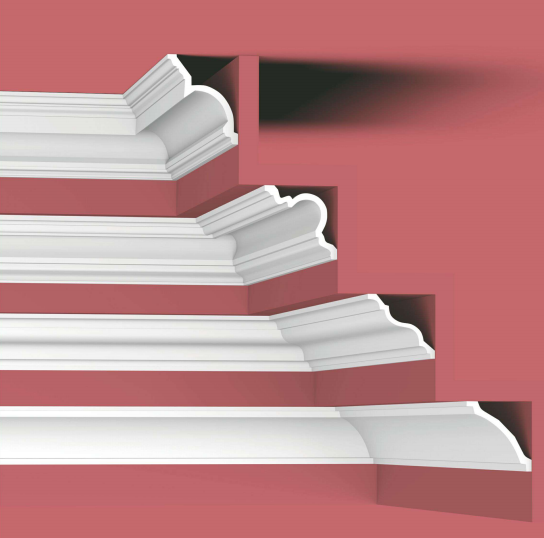 Immagine principale 5