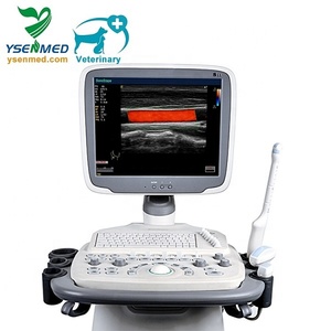 Ecógrafo Veterinario SonoScape S11V, Doppler Color 2D 3D 4D, con Carro, para Uso Médico en Animales, <span class=keywords><strong>Precio</strong></span> - Product Image 4