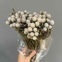 Fleurs séchées en gros tout-en-un : fruits de corail naturels pour arrangements de bouquets DIY, fleurs éternelles pour la décoration de la maison et de mariages